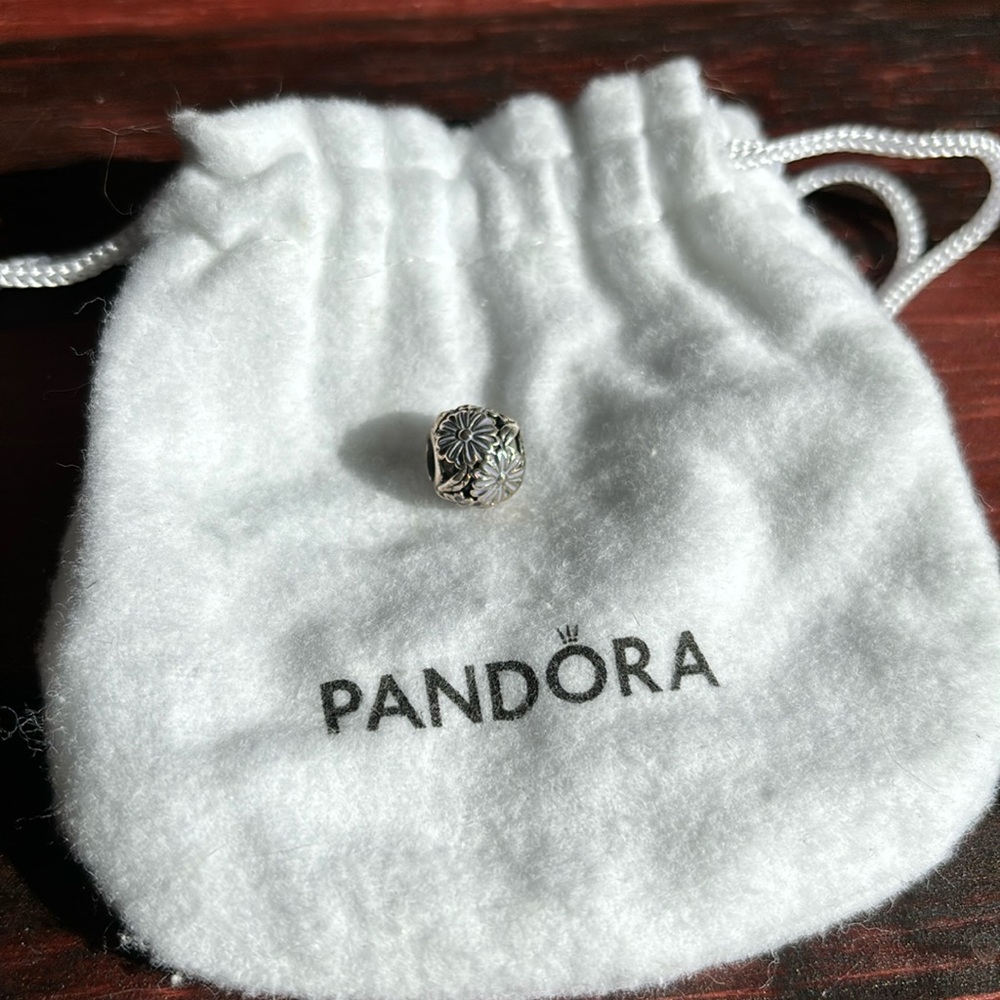 Pandora Daisy Meadow Charm
